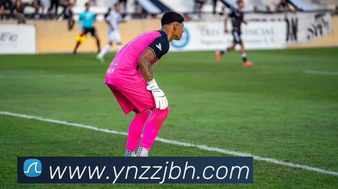 米兰体育网页官网APP 封面图